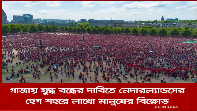 নেদারল্যান্ডসের হেগ শহরে গাজায় ইসরায়েলি আগ্রাসনের বিরুদ্ধে এ
